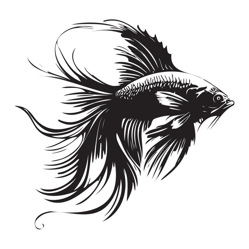 Betta fish vector illustration, fighting fish logo design