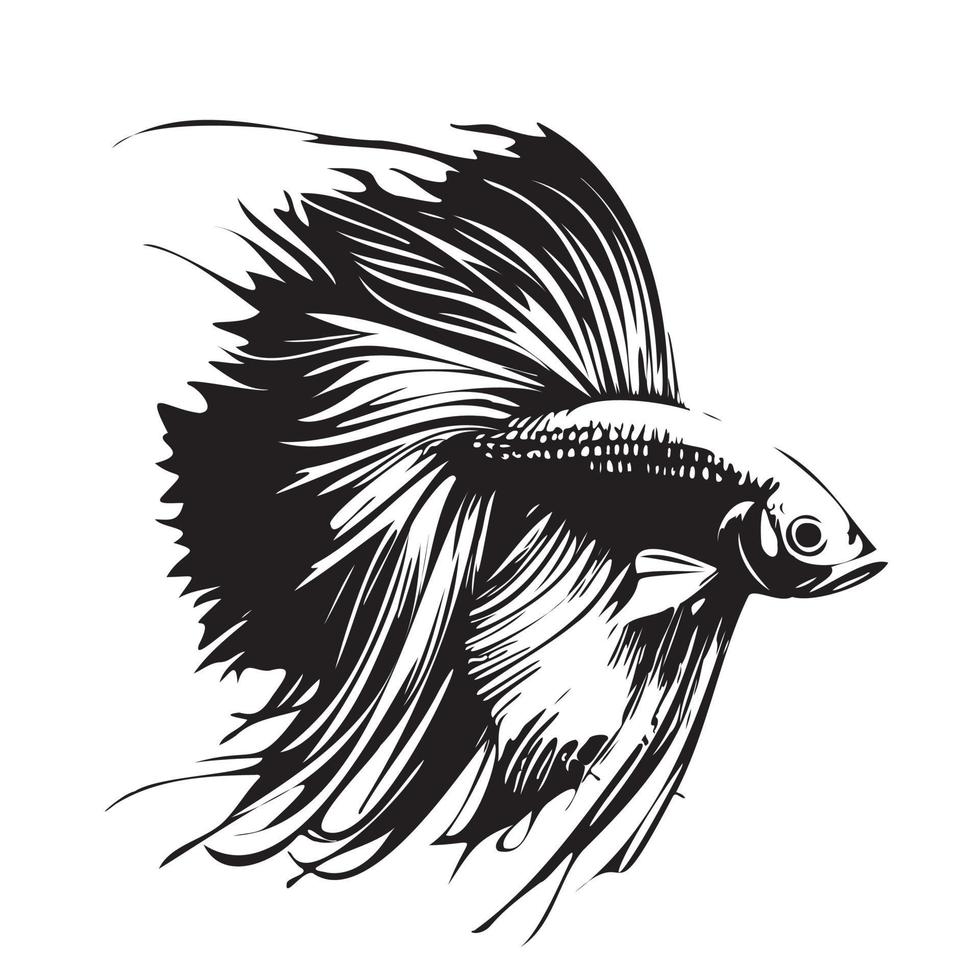 Betta fish vector illustration, fighting fish logo design