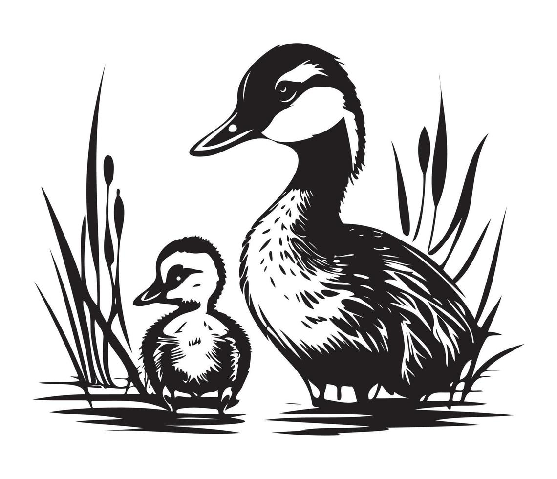 Pato con anadón, mamá y bebé pato, Pato nadando en el lago ilustración vector