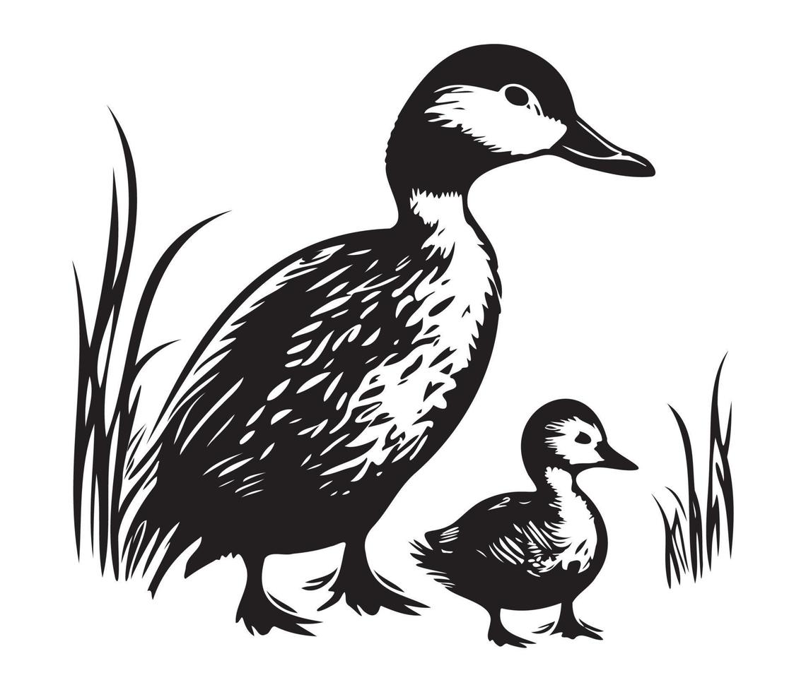 Duck With Duckling, Mom and baby duck, Duck swimming in the lake illustration vector