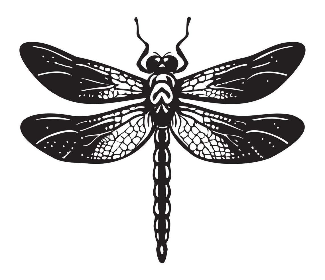Dragonfly hand drawing vintage engraving illustration vector