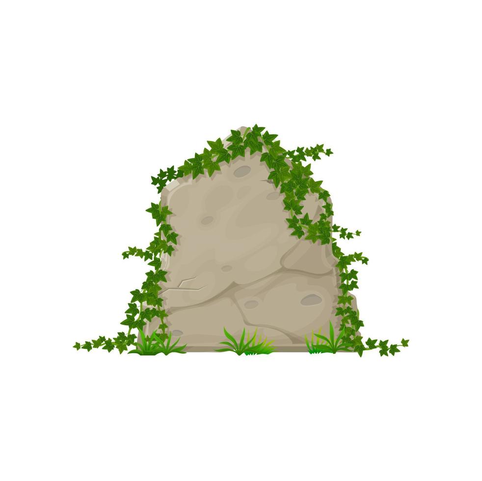 Stone board ivy leaves, cartoon climping hedera vector