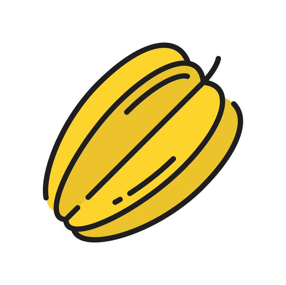 Starfruit isolated star shape fruit carambola icon vector