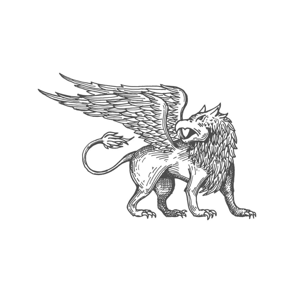 Griffin mythology creature with eagle head, lion vector