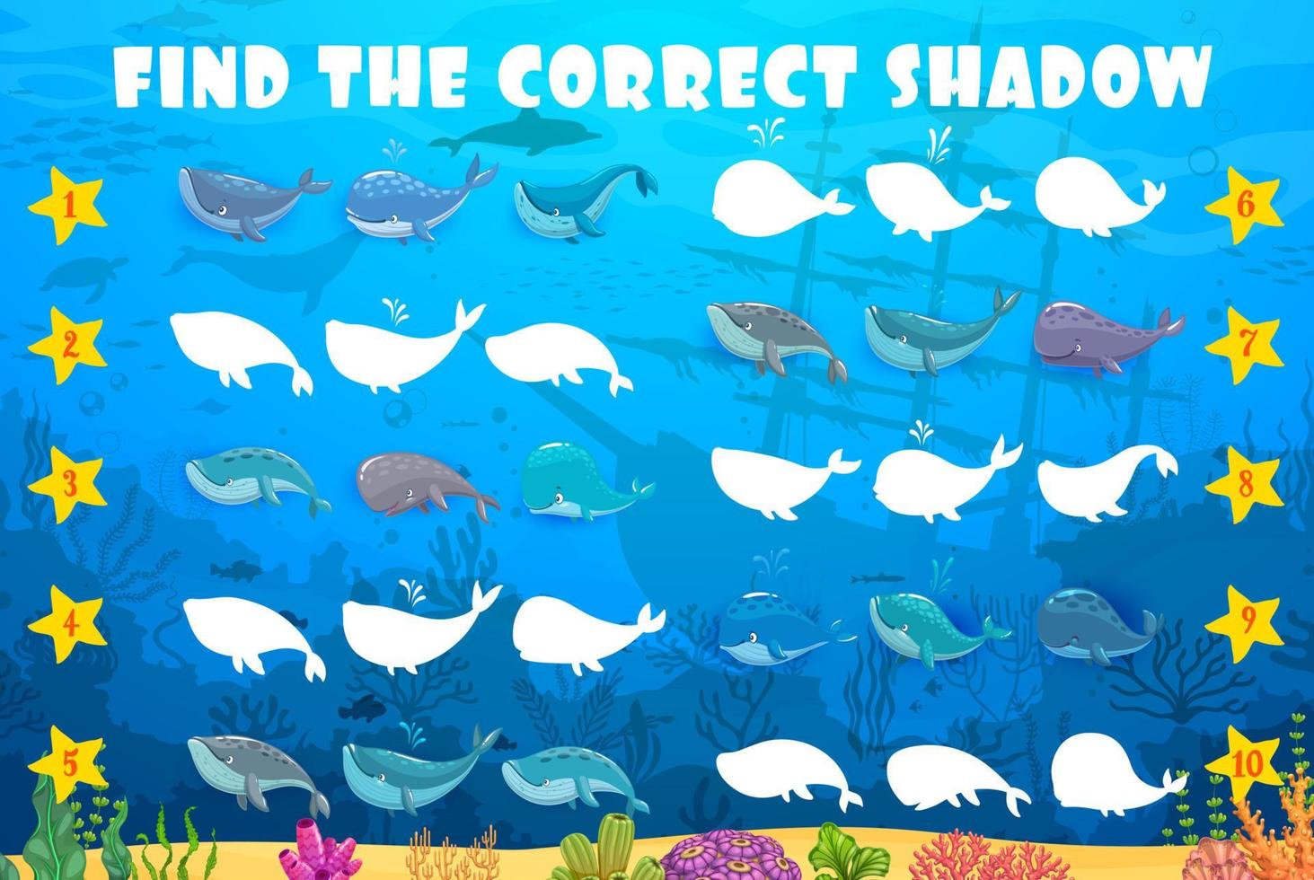 Find the correct shadow of whale, cachalot, sperm vector