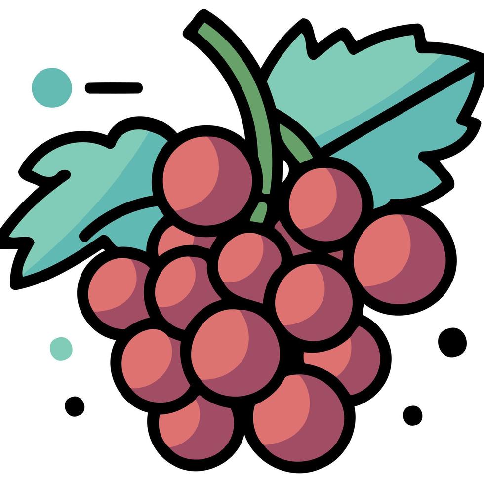 fruits bunch of purple grapes vector