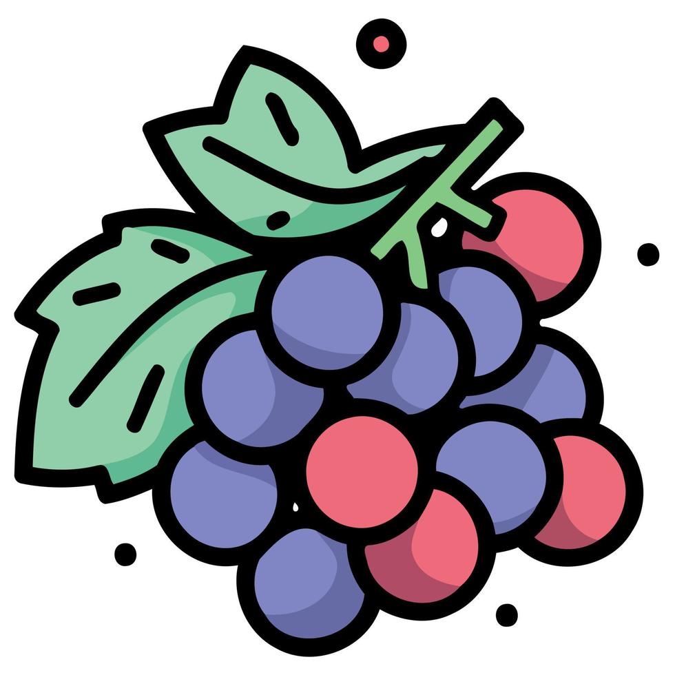 fruits bunch of purple grapes vector