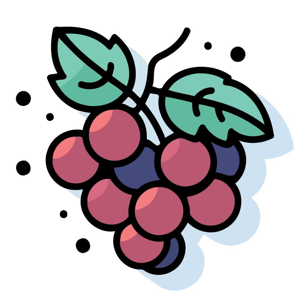 fruits bunch of purple grapes vector