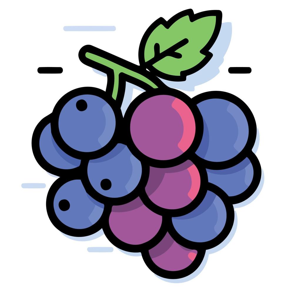 fruits bunch of purple grapes vector
