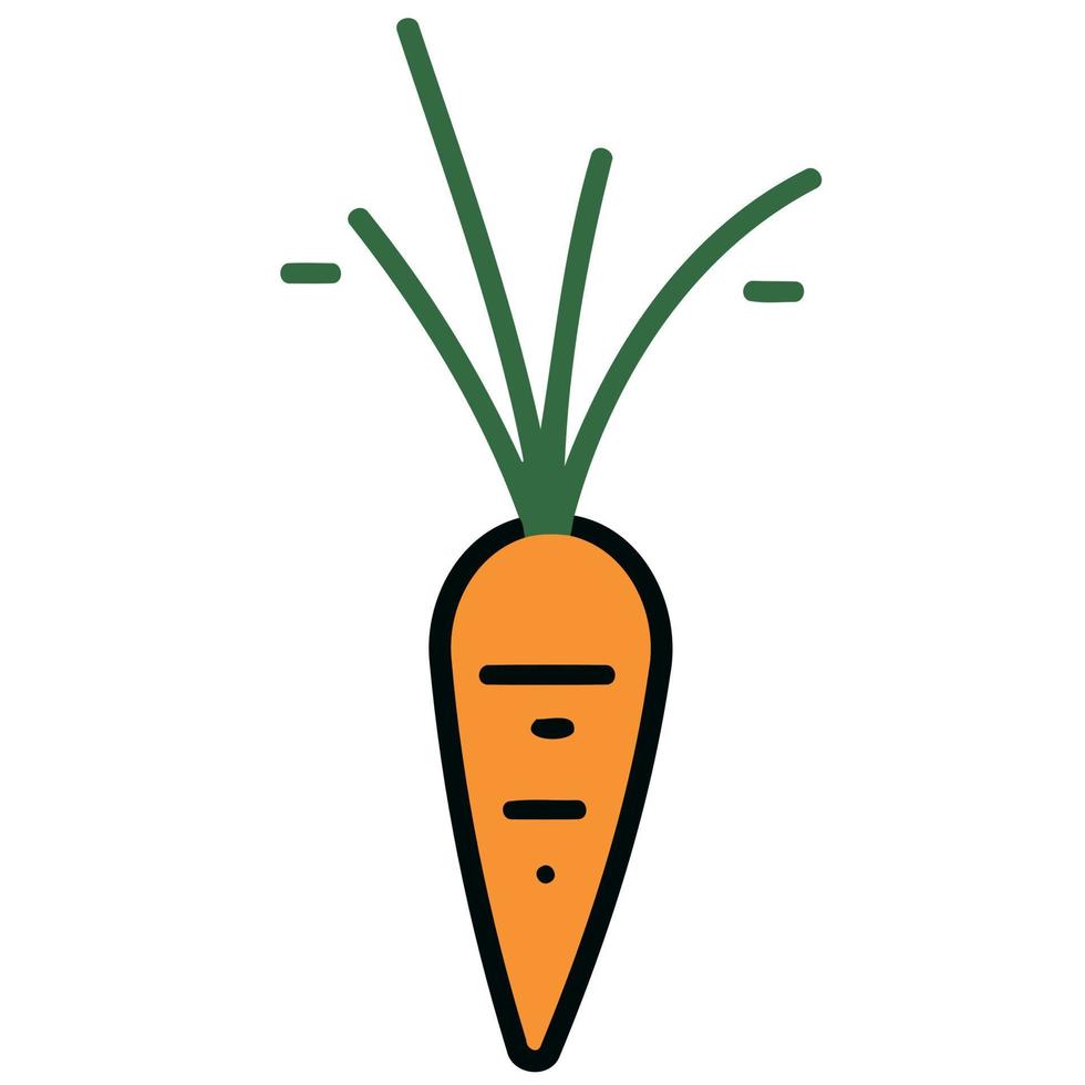 vegetable food a carrot vector