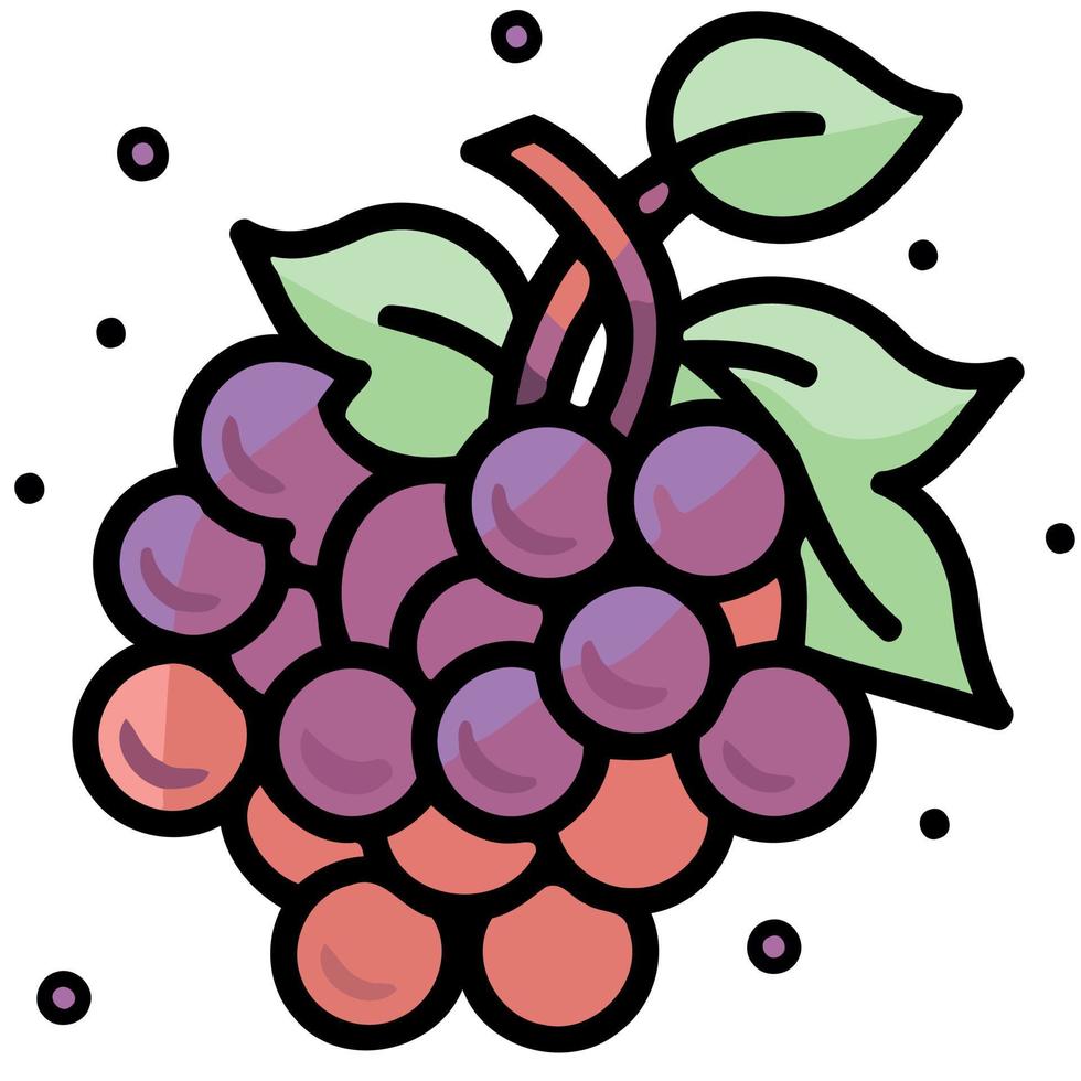 fruits bunch of purple grapes vector