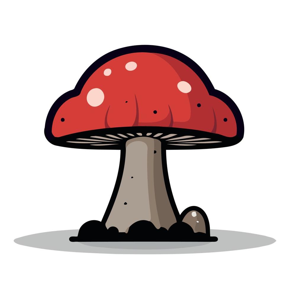 mushroom organism fungus vector