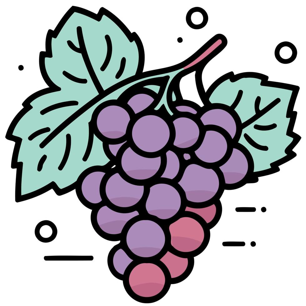 fruits bunch of purple grapes vector