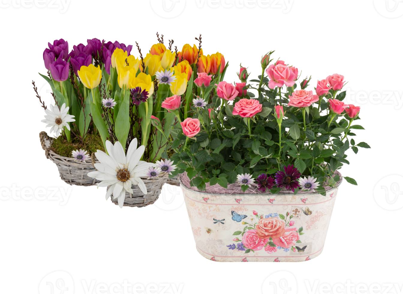 mooi zomer bloemen in een potten met besnoeiing uit geïsoleerd Aan achtergrond transparant png
