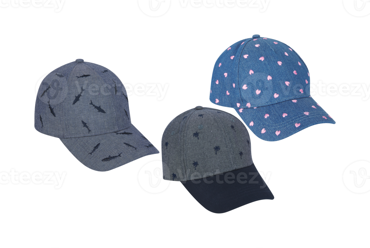 cap with cut out isolated on background transparent png