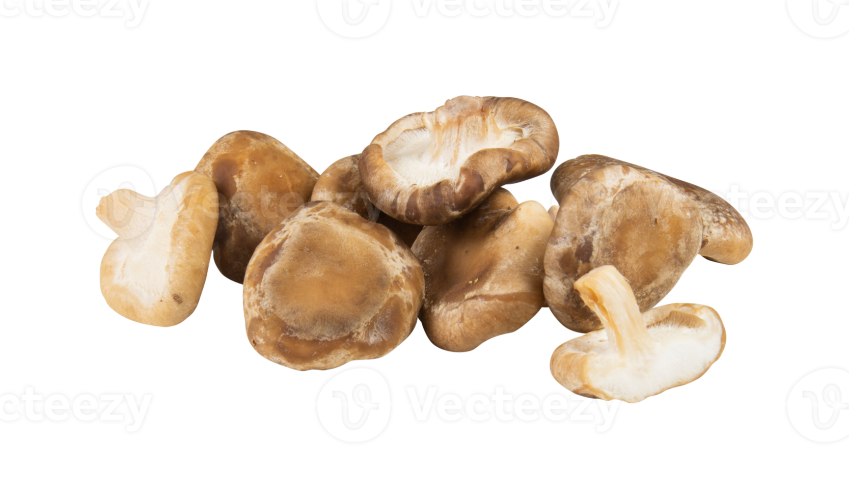 pile of mushrooms with cut out isolated on background transparent png