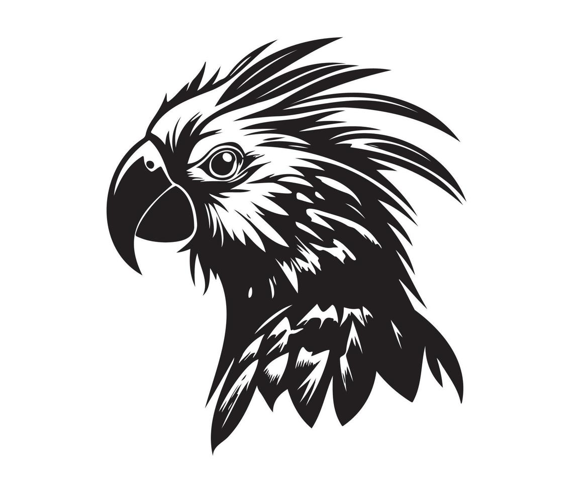 Owl Face Silhouettes Owl Face Svg Black And White Owl Vector 22666059 Vector Art At Vecteezy