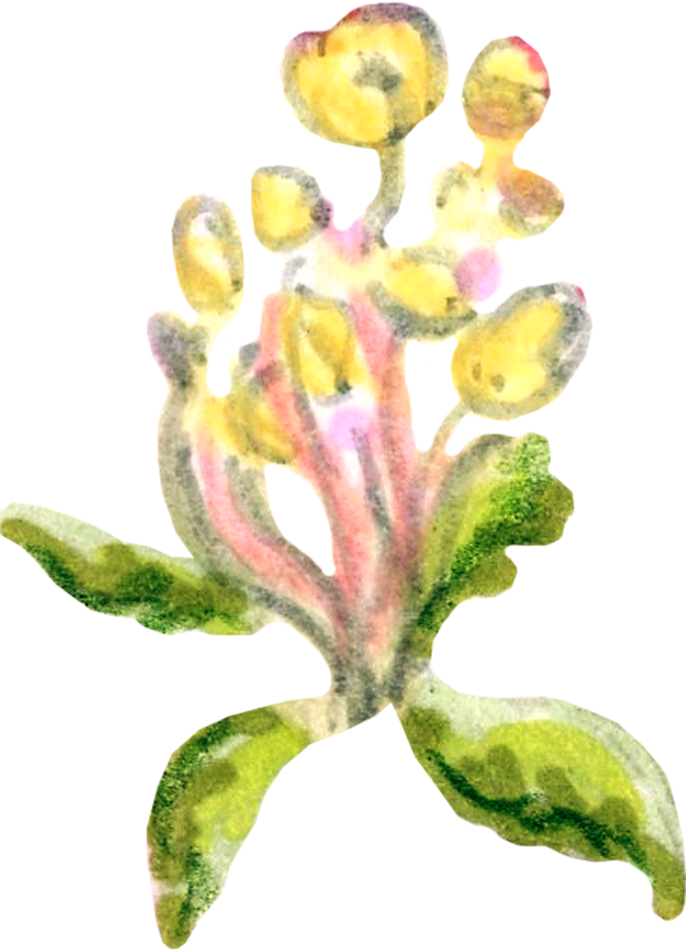 Stamens of apple blossoms . 22666540 PNG