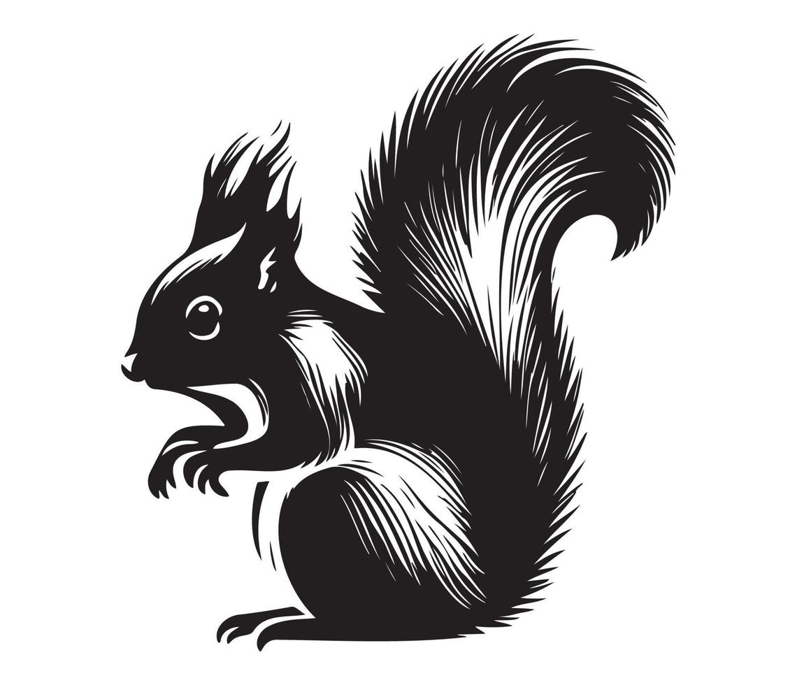 Squirrel Face, Silhouettes Squirrel Face, black and white Squirrel vector