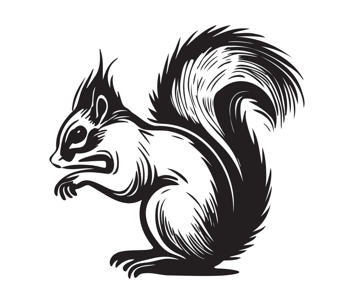 Squirrel Face, Silhouettes Squirrel Face, black and white Squirrel vector