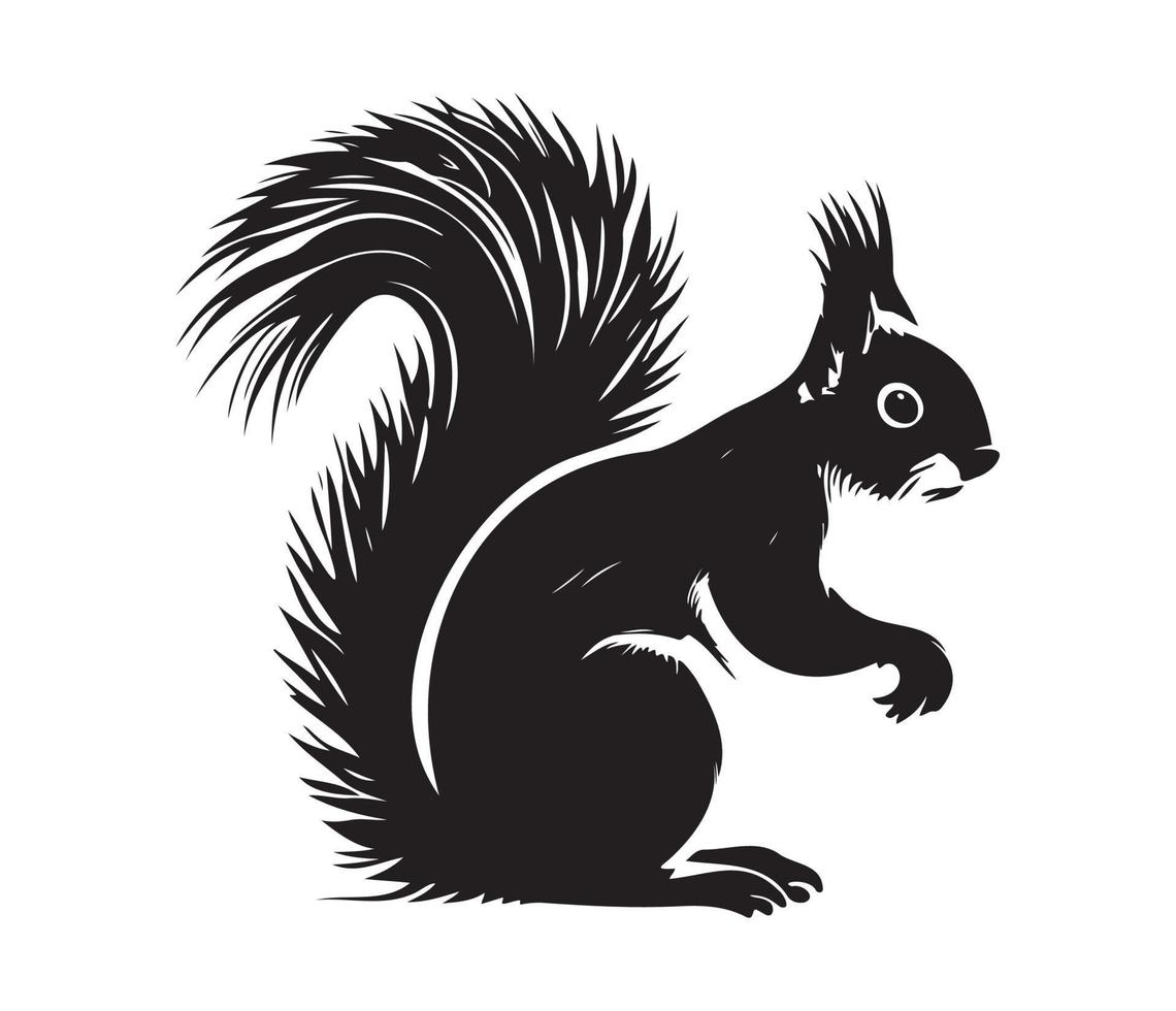 Squirrel Face, Silhouettes Squirrel Face, black and white Squirrel vector