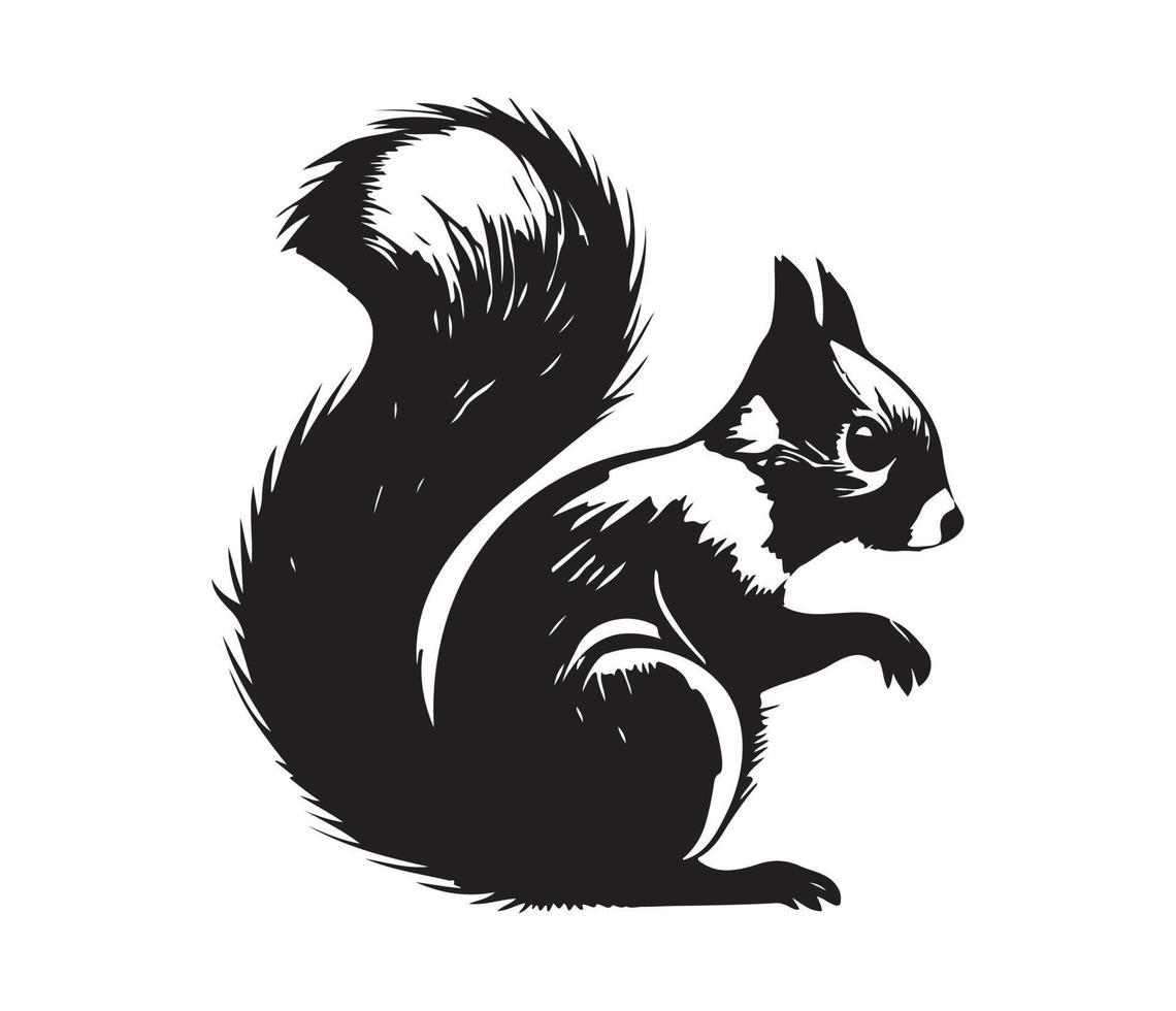 Squirrel Face, Silhouettes Squirrel Face, black and white Squirrel vector