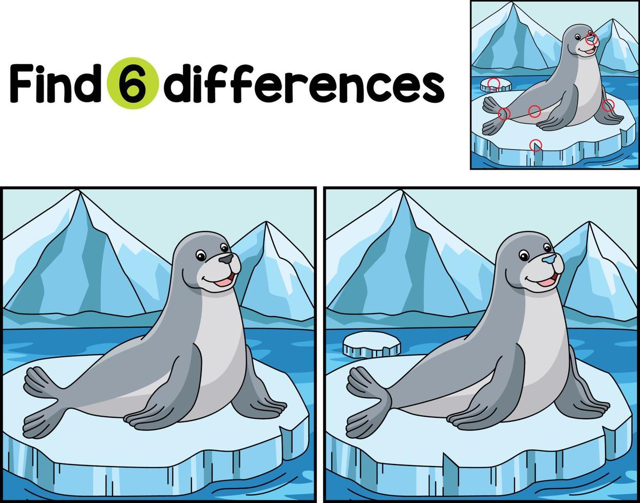 Seal Animal Find The Differences vector
