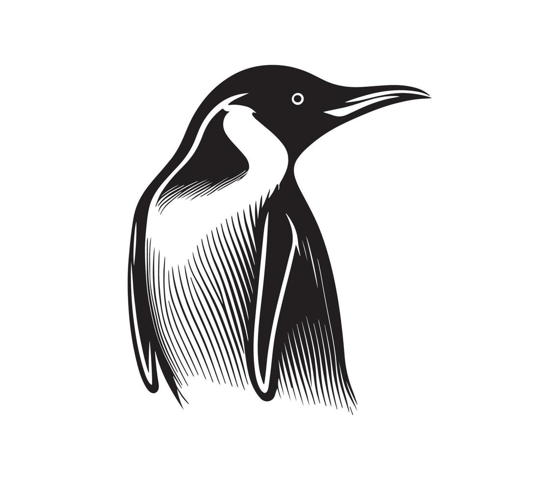 pingüino rostro, siluetas pingüino rostro, negro y blanco pingüino vector