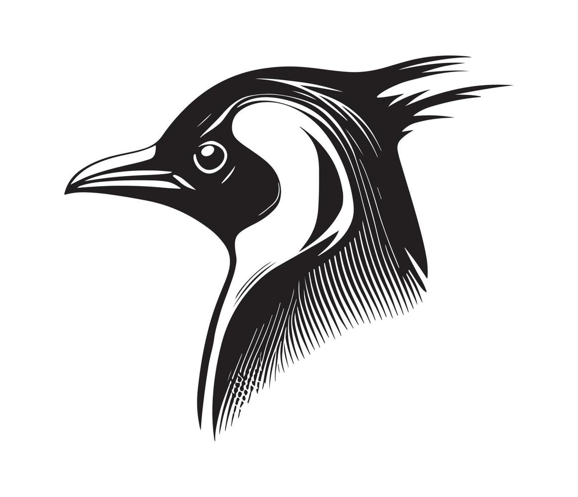 Penguin Face, Silhouettes Penguin Face, black and white Penguin vector