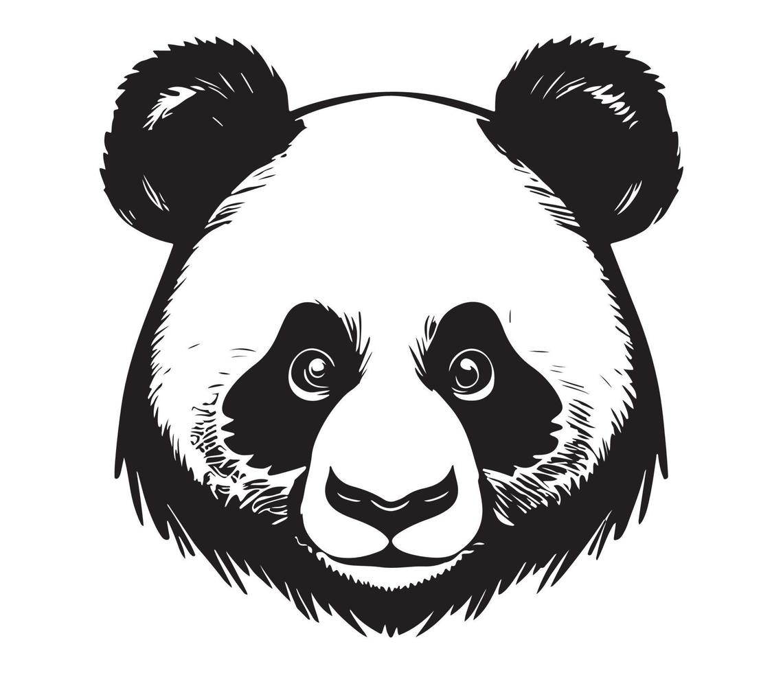 panda rostro, siluetas panda rostro, negro y blanco panda vector
