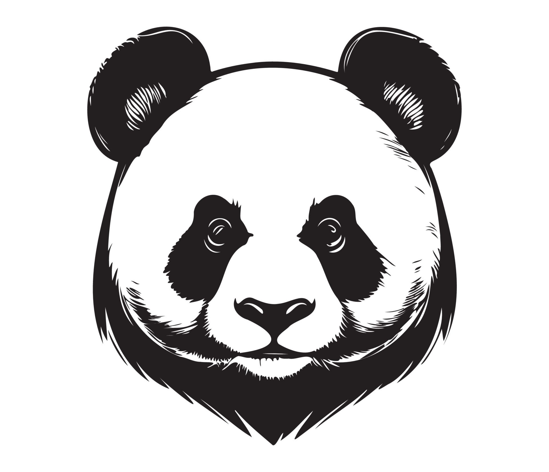 Panda Face Vector Isolated White 11513557 Vector Art at Vecteezy