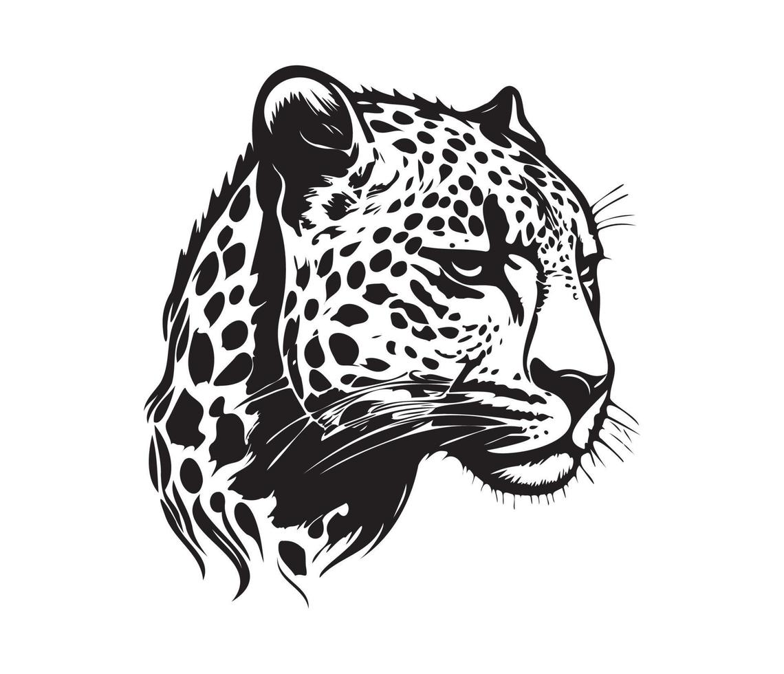 leopardo rostro, siluetas leopardo rostro, negro y blanco leopardo vector