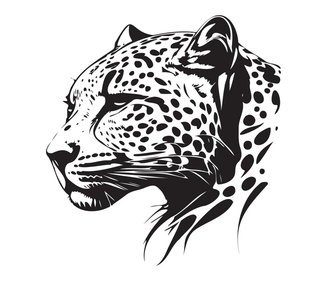 leopardo rostro, siluetas leopardo rostro, negro y blanco leopardo vector