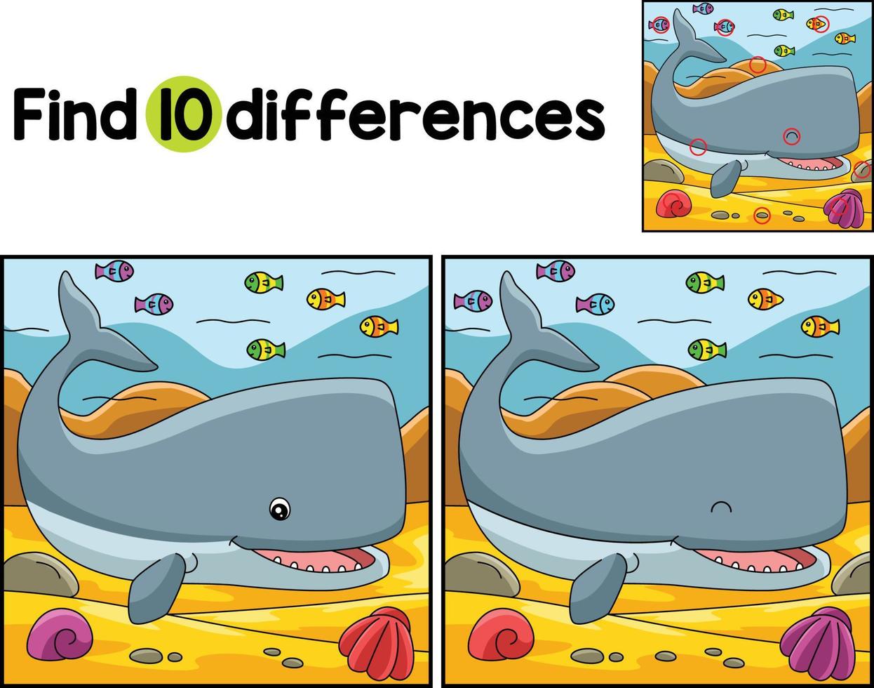 Sperm Whale Animal Find The Differences vector