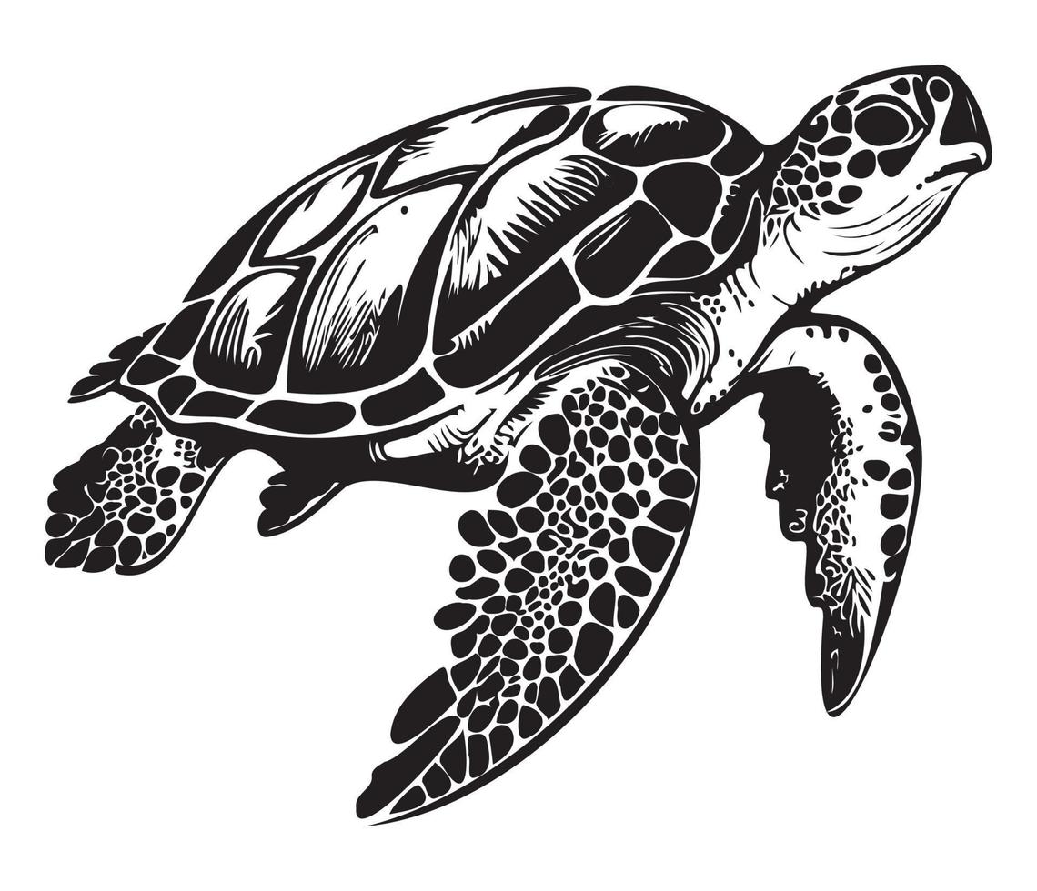 Swimming sea turtle icon sea animal black symbol, underwater animals vector