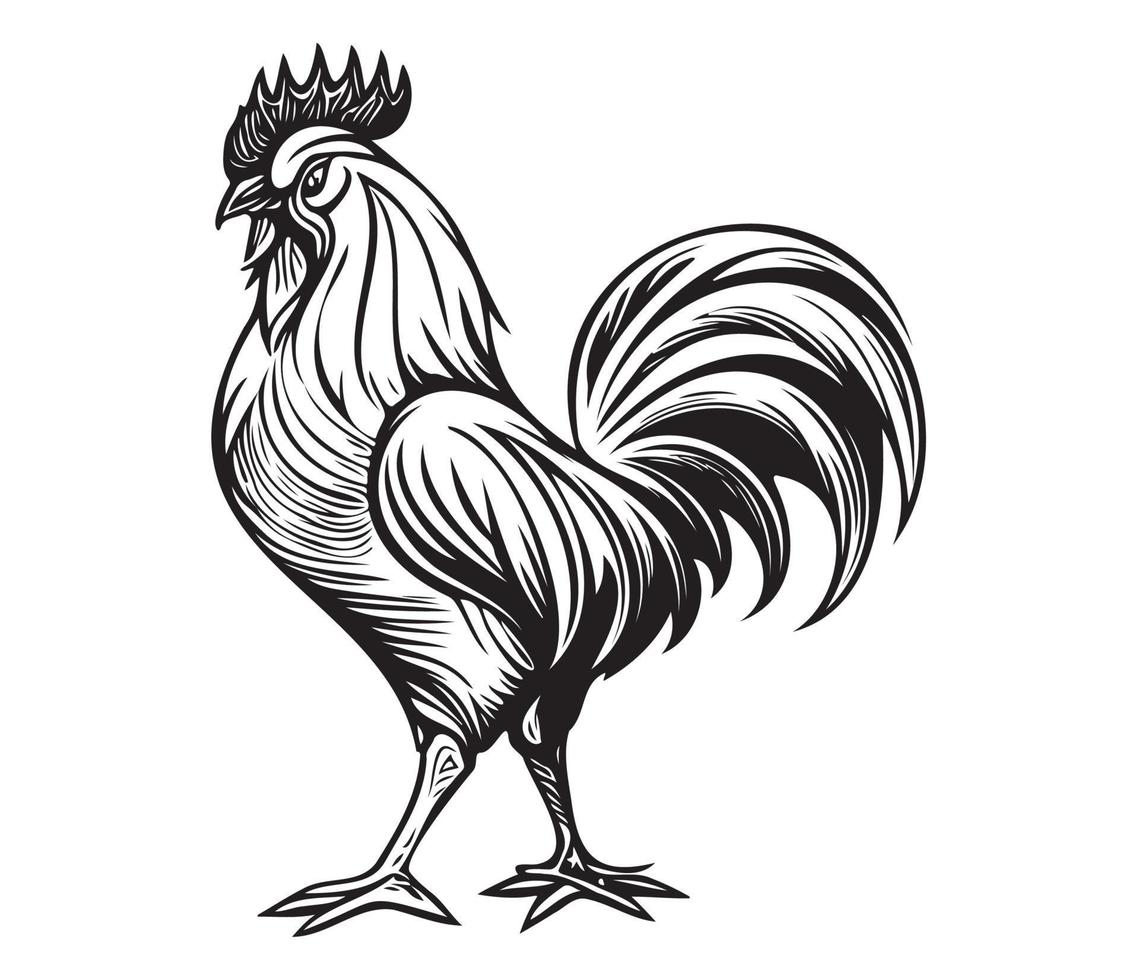 Chicken cock Rooster, Chickens roosters, Farm Animal illustration