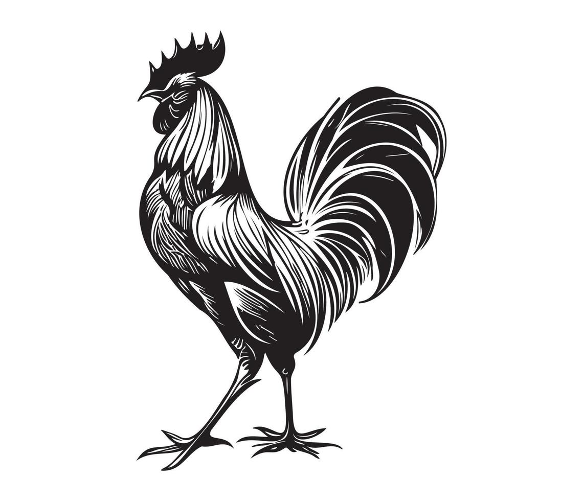 Chicken cock Rooster, Chickens roosters, Farm Animal illustration vector
