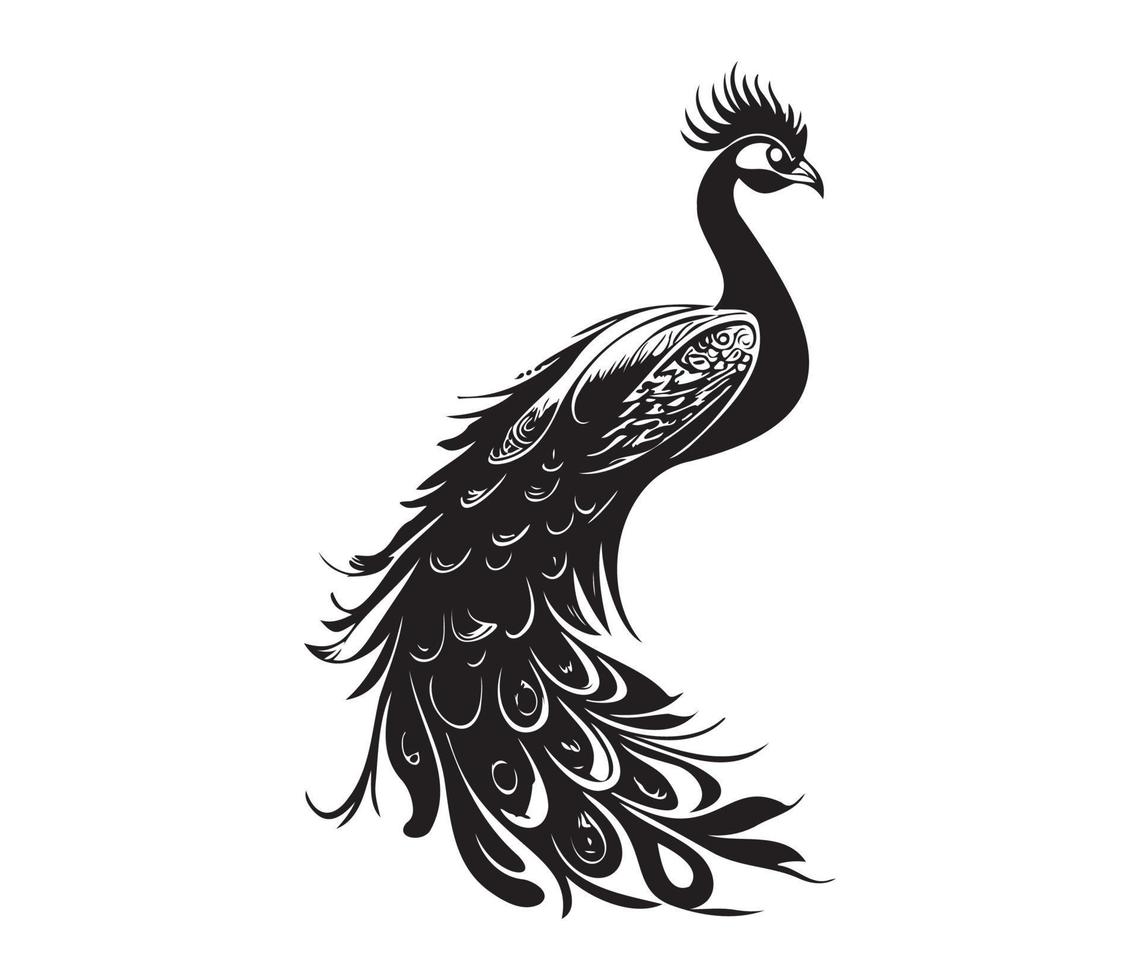 monocromo pavo real. animal pájaro vector ilustración, pavo real Arte diseño