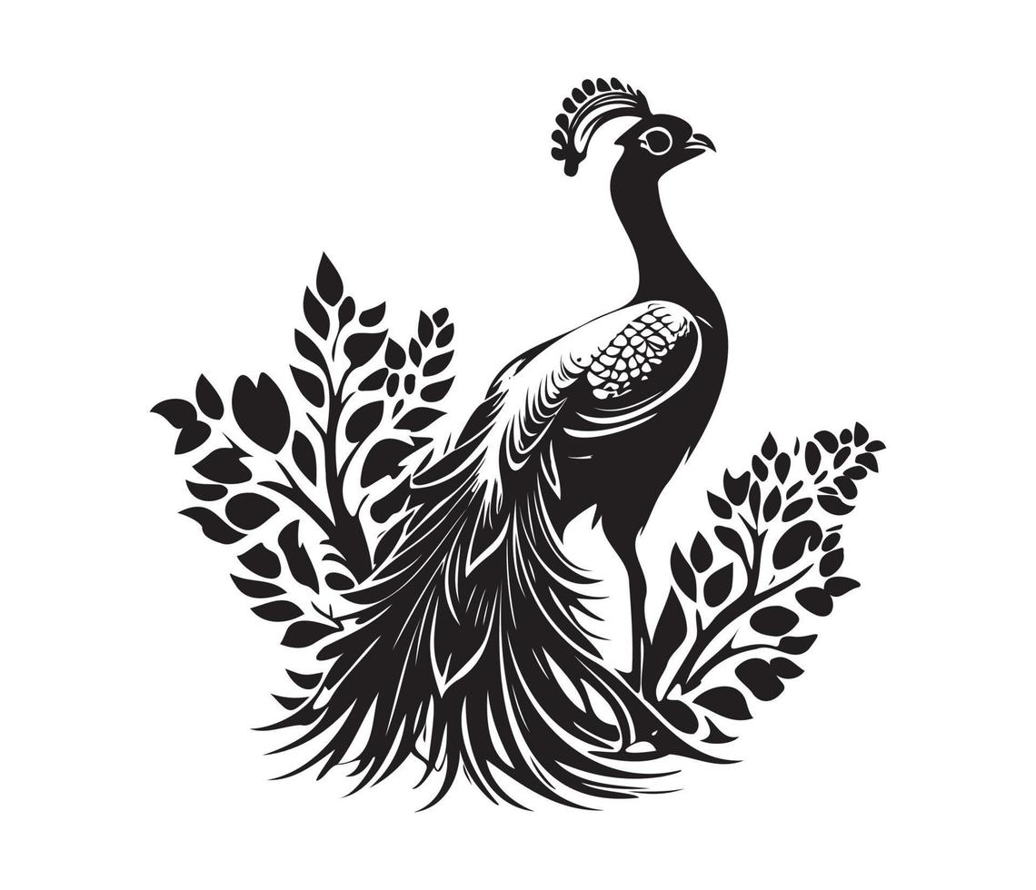 Monochrome peacock. Animal bird vector illustration, peafowl art design