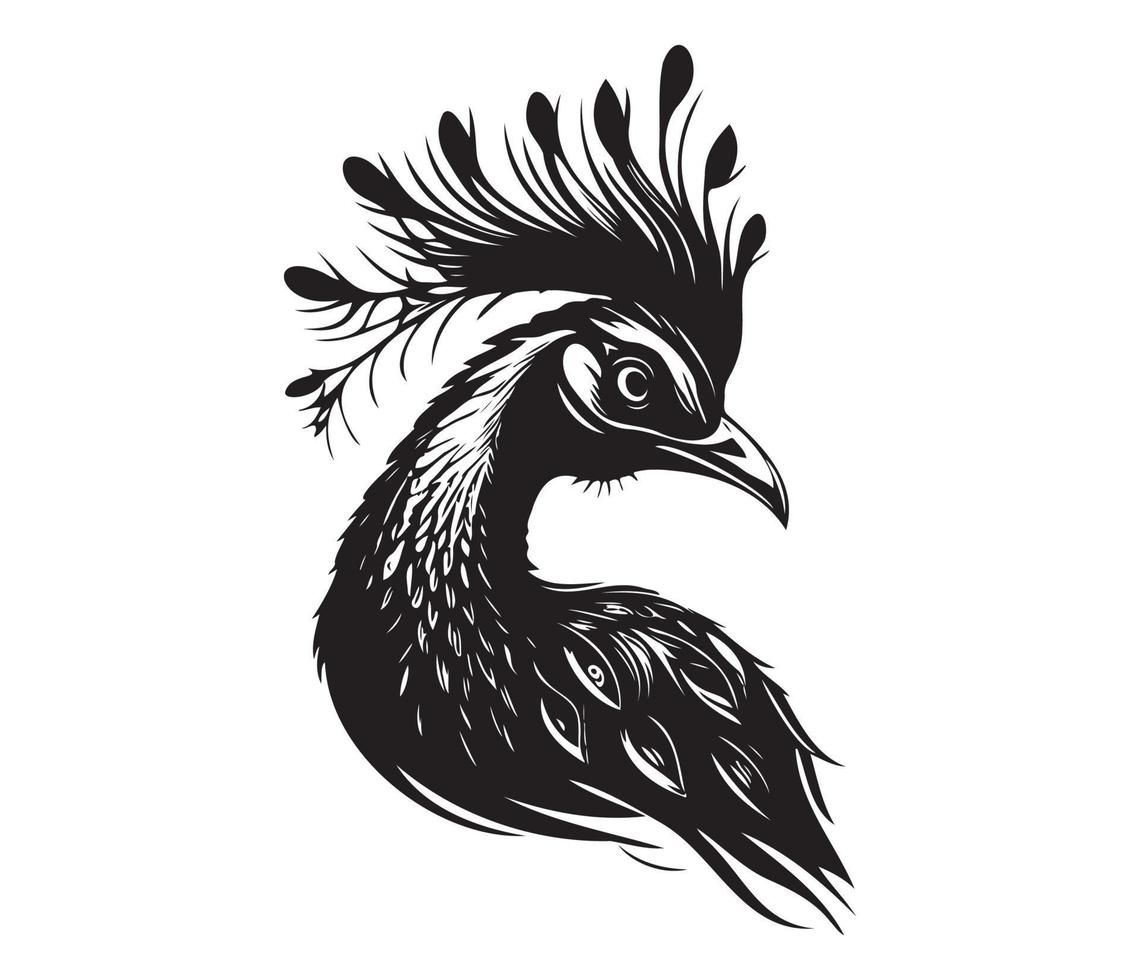 Monochrome peacock. Animal bird vector illustration, peafowl art design