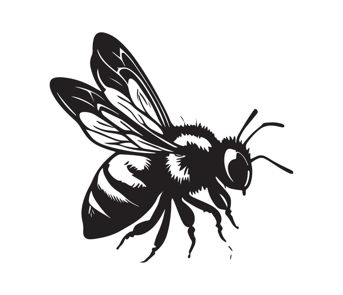 miel abeja icono, miel abeja silueta vector