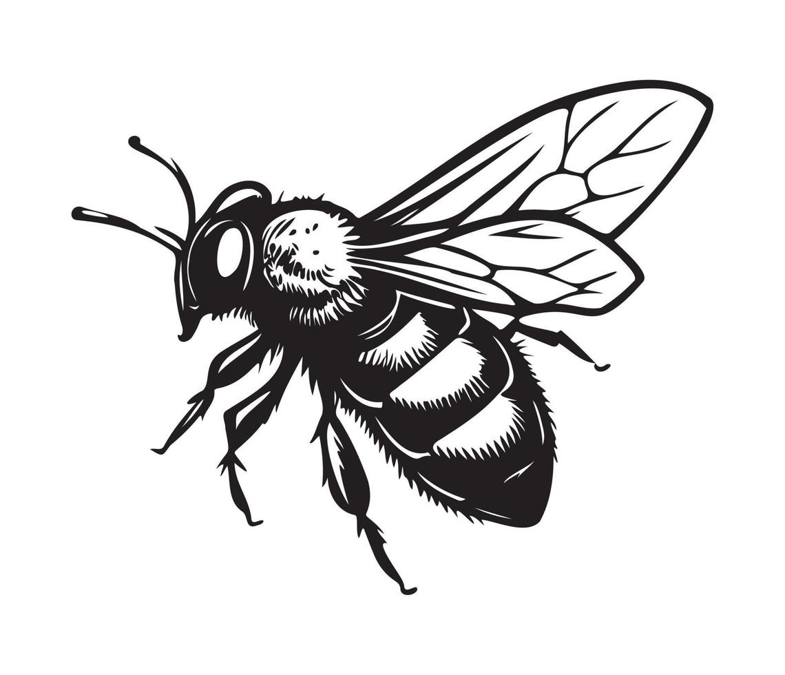 Honey Bee icon, honey bee silhouette vector