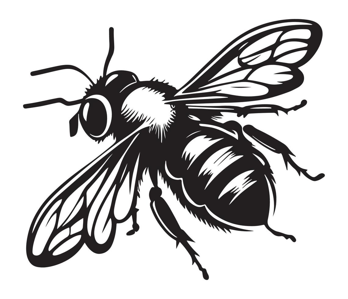 miel abeja icono, miel abeja silueta vector