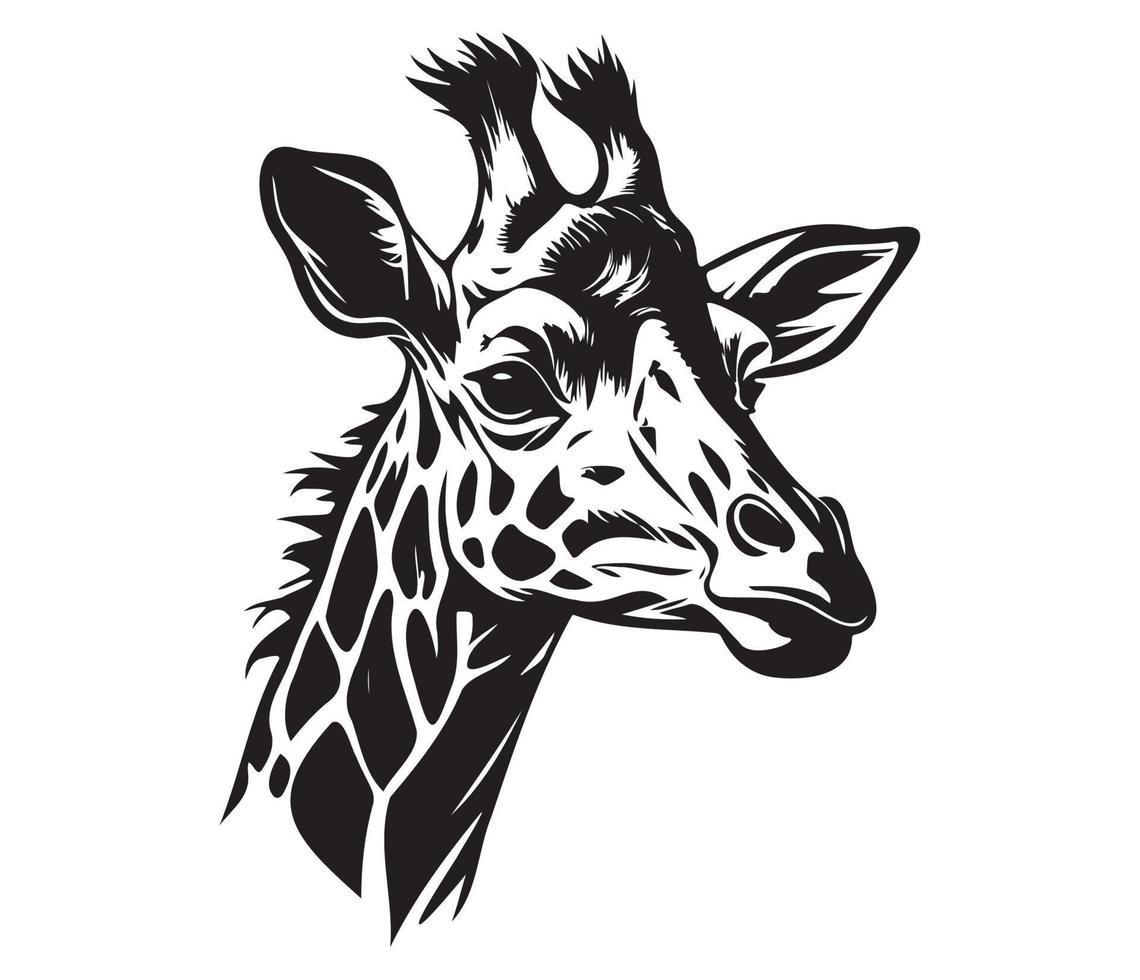 Giraffe Face, Silhouettes Giraffe Face, black and white Giraffe vector