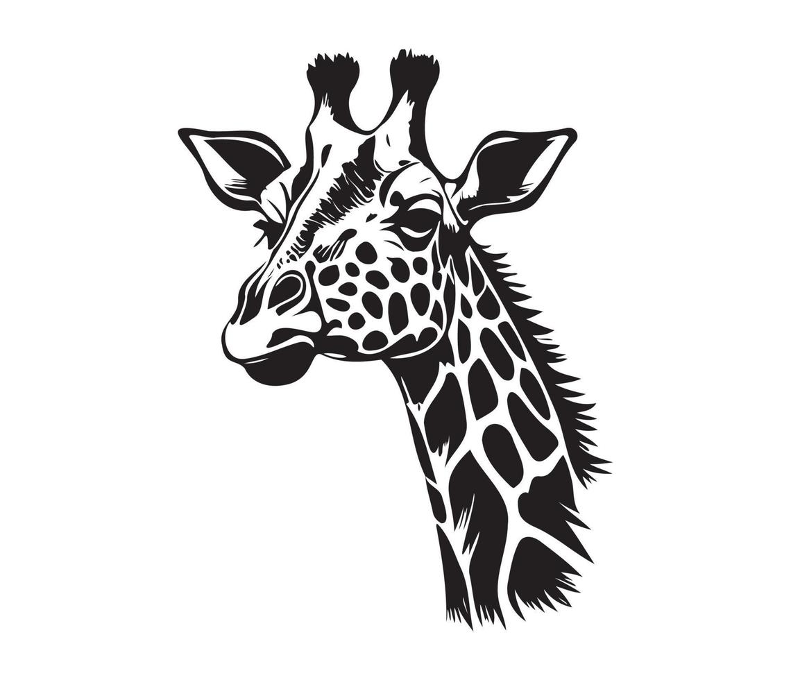 Giraffe Face, Silhouettes Giraffe Face, black and white Giraffe vector