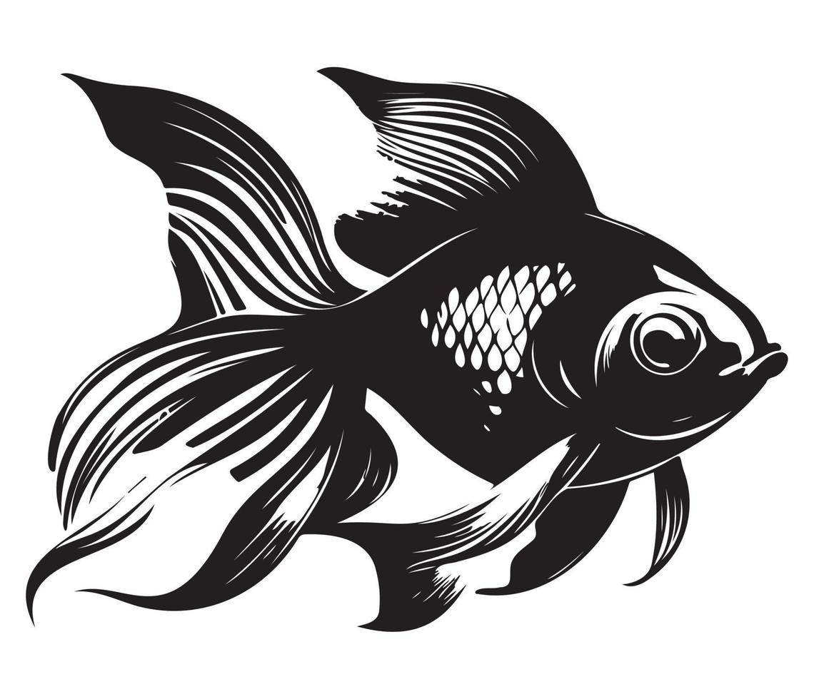 goldfish, golden fish Animal fish illustration black and white side view outline image vector