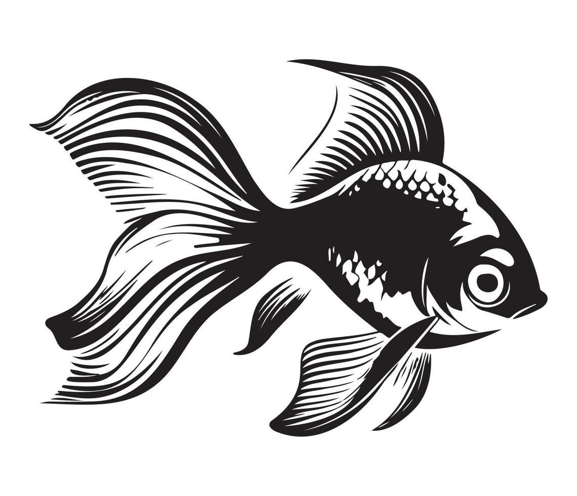 goldfish, golden fish Animal fish illustration black and white side view outline image vector