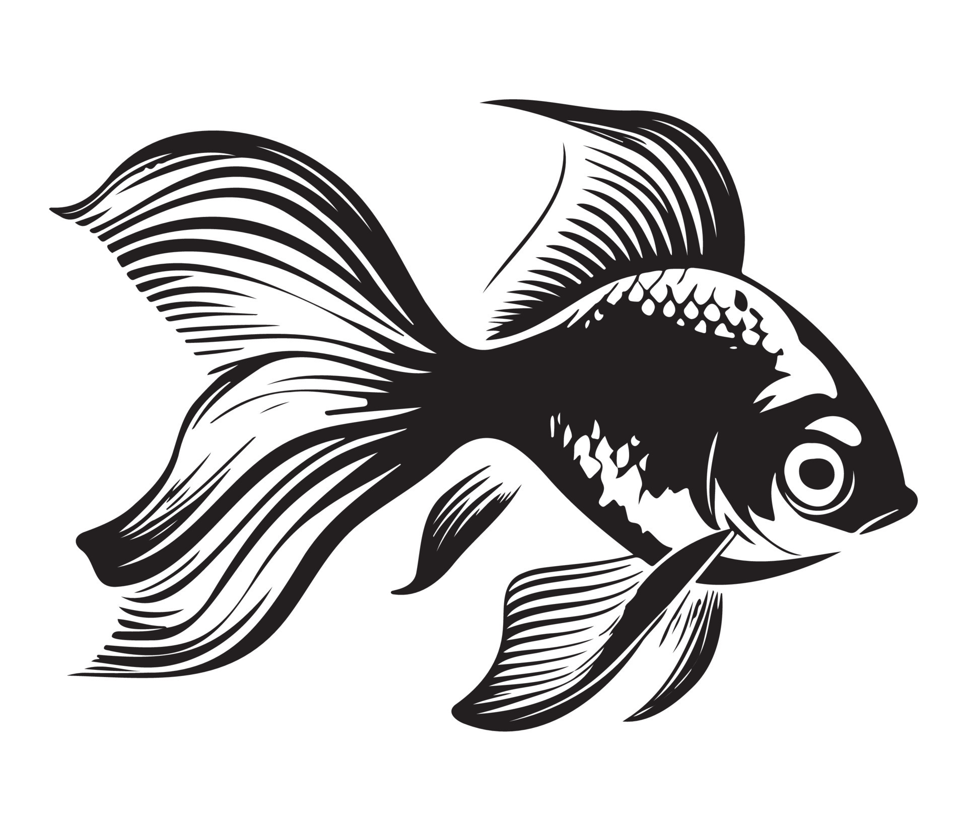 Goldfish Golden Fish Animal Fish Illustration Black And White Side Goldfish Golden Fish Animal Fish Illustration Black And White Side View Outline Image Vector