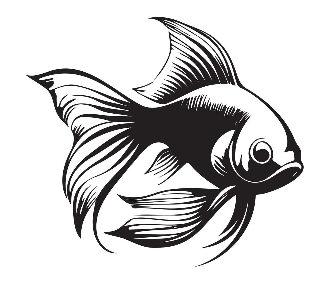 goldfish, golden fish Animal fish illustration black and white side view outline image vector