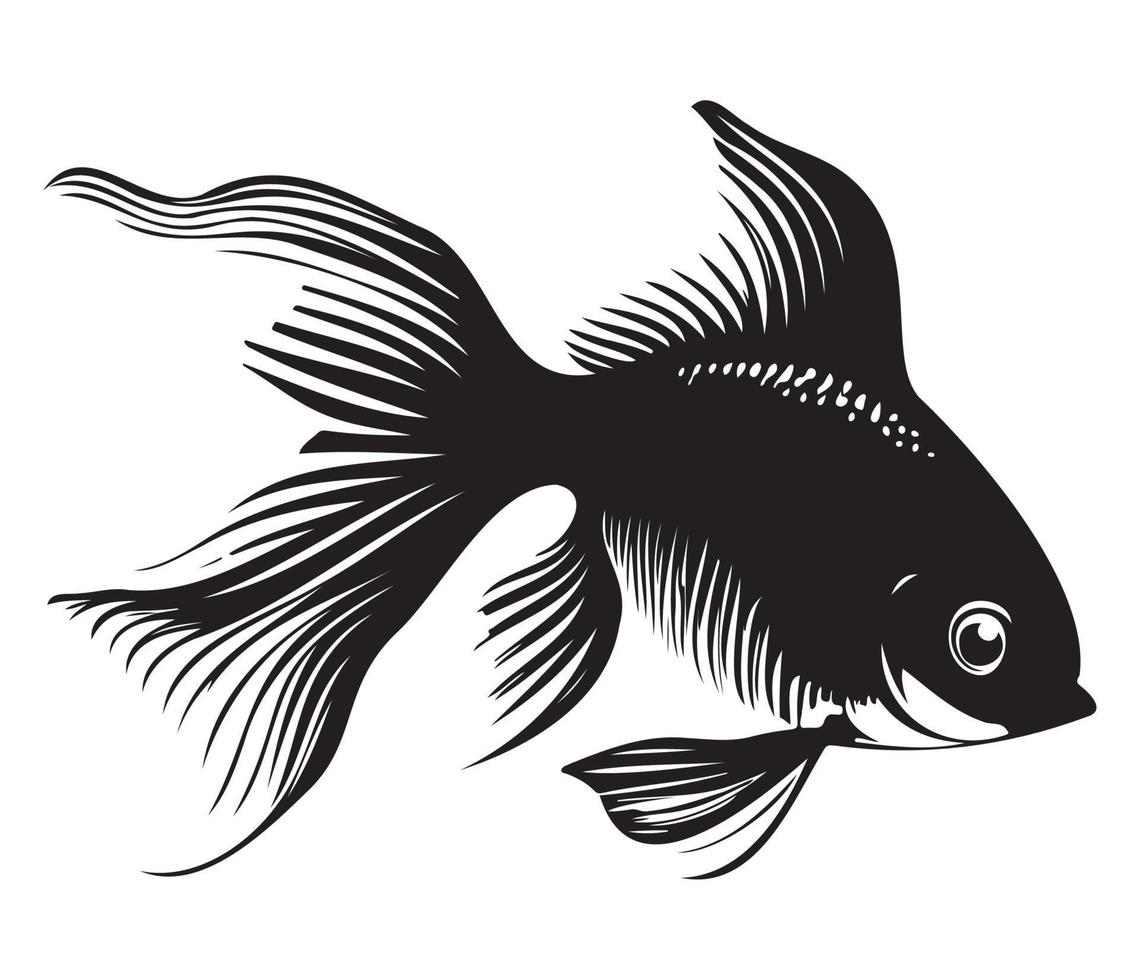 goldfish, golden fish Animal fish illustration black and white side view outline image vector